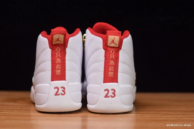 (2019) Air Jordan 130690-107 12 